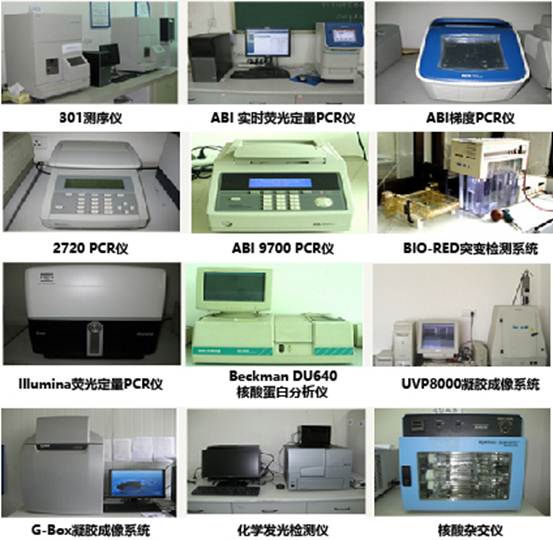 说明:C:\Users\Hongwei\Desktop\实验平台.jpg